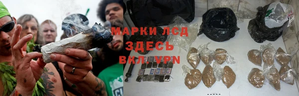 стафф Балахна