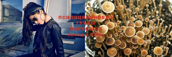 бошки Баксан