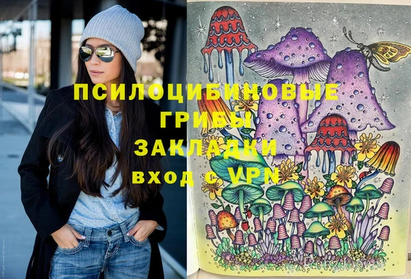 бошки Баксан