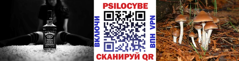Галлюциногенные грибы прущие грибы Петухово